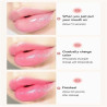Mabox Aloe Vera 99% Lip Balm